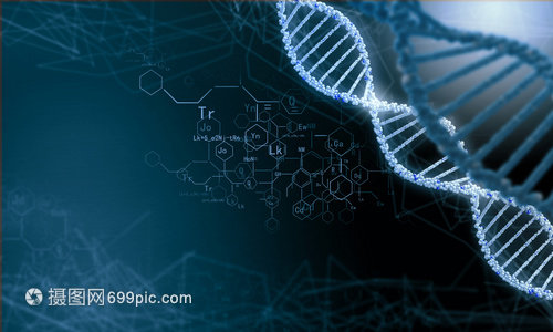 DNA分子高科技DNA分子的生物化學背景