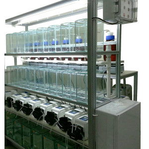 thmorgandl6000供應(yīng)商 臺灣其它dl6000國產(chǎn)