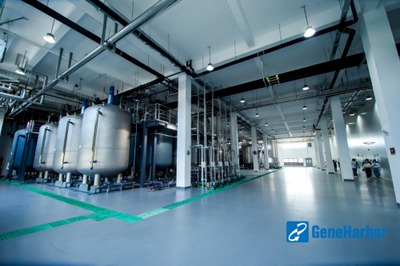 基因港100噸NMN工廠正式投產，成功通過FDA GMP認證引領生物科技新篇章